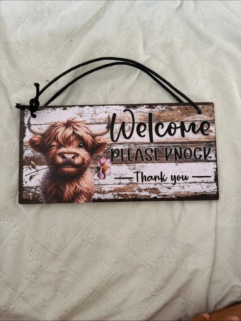 Do Not Disturb Wall Sign - Brown Highland Cow Design